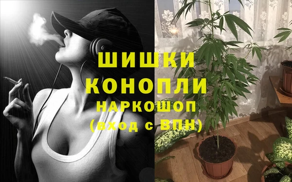 стафф Балахна