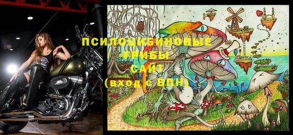 мескалин Баксан
