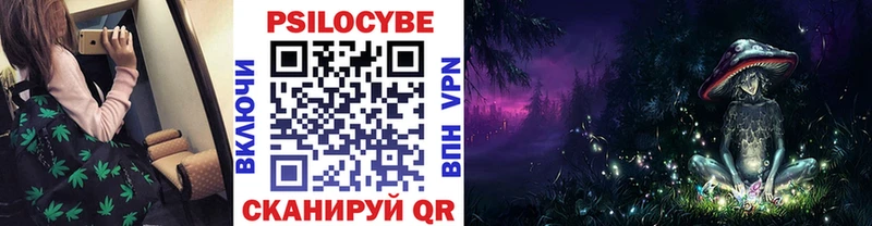 Галлюциногенные грибы прущие грибы Спасск-Рязанский